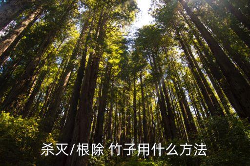 有什么農藥可殺死竹子,什么農藥能大量殺死蒼蠅