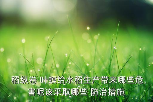 稻縱卷葉螟用什么農(nóng)藥防治,防治水稻稻縱卷葉螟用什么農(nóng)藥好