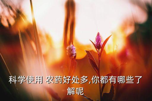 雙排農(nóng)藥有什么好處,減少農(nóng)藥污染有什么好處