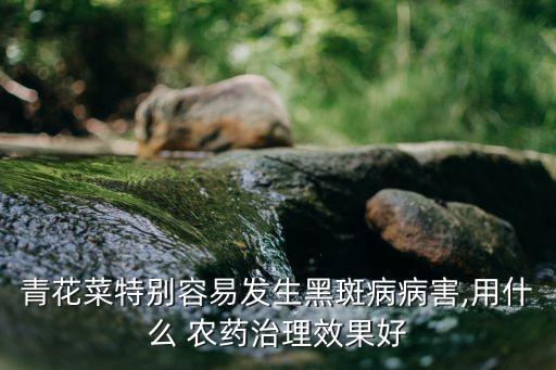 西蘭花打什么農(nóng)藥好聞
