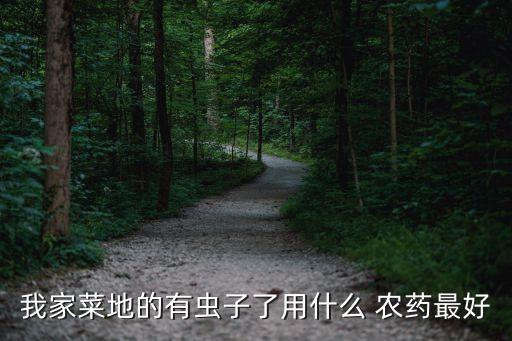 我家菜地的有蟲子了用什么 農藥最好