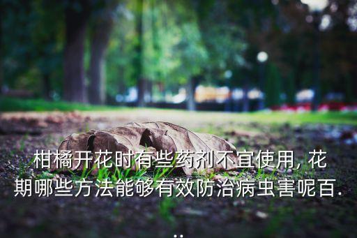  柑橘開花時有些藥劑不宜使用, 花期哪些方法能夠有效防治病蟲害呢百...