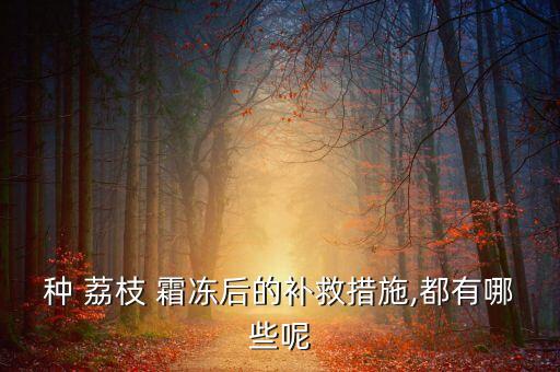 種 荔枝 霜凍后的補救措施,都有哪些呢