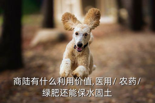 十六安什么是什么農藥,絡安3號是什么農藥