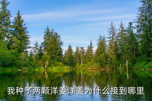 什么農(nóng)藥能殺滅菊芋苗