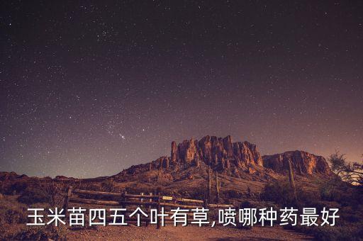 玉米苗期噴什么農(nóng)藥,玉米治蟲(chóng)用什么農(nóng)藥好