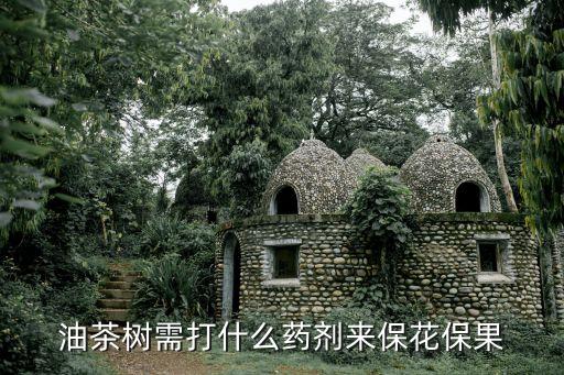油茶葉蟲噴什么農藥,油茶有蟲需要什么藥