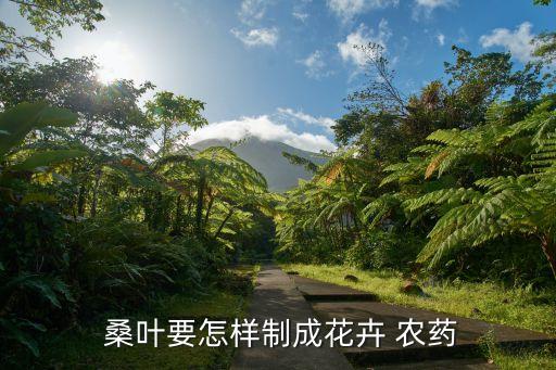 桑葉用什么農藥,如何分辨桑葉有沒有打農藥