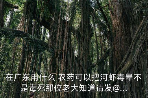 用什么農(nóng)藥毒蝦效果好,什么農(nóng)藥毒老鼠效果好
