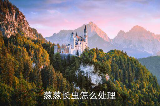 蔥蔥長蟲怎么處理