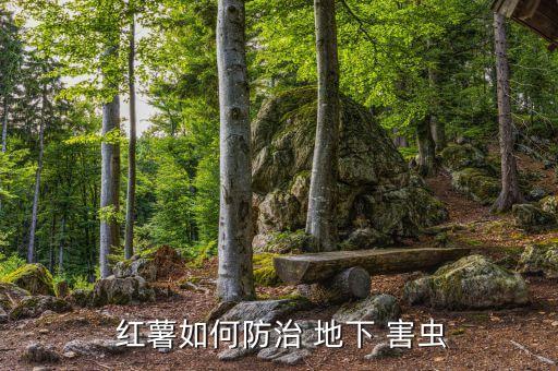 紅薯地下害蟲防止什么農藥,怎樣防止紅薯地下害蟲發生