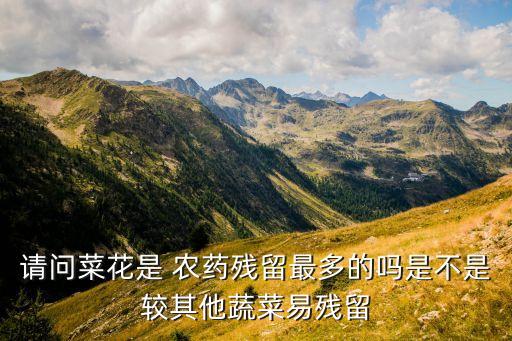 請問菜花是 農藥殘留最多的嗎是不是較其他蔬菜易殘留