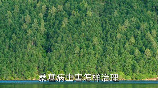 桑葚病蟲害怎樣治理