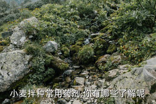 小麥拌種常用藥劑,你有哪些了解呢