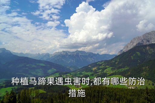  種植馬蹄果遇蟲害時,都有哪些防治措施