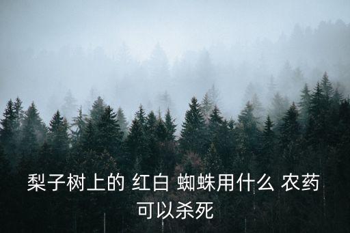 治療紅白蜘蛛用什么農藥