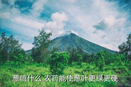 大蔥一般用什么農藥,大蔥打什么農藥最好