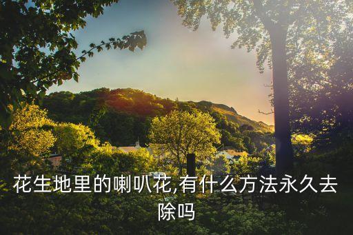 什么農(nóng)藥殺牽牛花最好,甲殼蟲用什么農(nóng)藥殺最好?