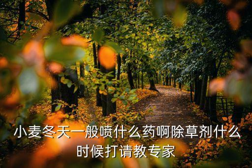 小麥噴農藥用什么藥,小麥需要噴幾次農藥
