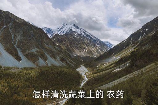 洗菜最好用什么能去農(nóng)藥,洗菜池什么牌子最好