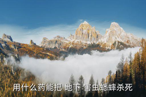 什么農藥可以治地下害蟲,菜地地下蟲用什么農藥好