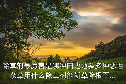 什么農(nóng)藥滅草最霸道,種菜前打什么農(nóng)藥沒草