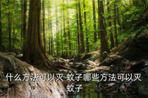 什么方法可以滅 蚊子哪些方法可以滅 蚊子