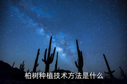  柏樹種植技術方法是什么