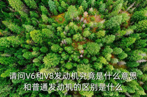 請問V6和V8發動機究竟是什么意思和普通發動機的區別是什么