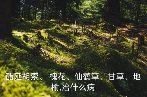 醋延胡索、 槐花、仙鶴草、甘草、地榆,冶什么病