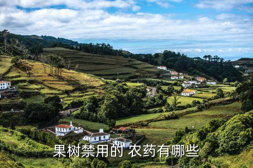 樂果不能與什么農藥,樂果屬于什么類型農藥