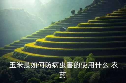 種玉米用什么農藥好些,什么農藥能讓玉米不結棒