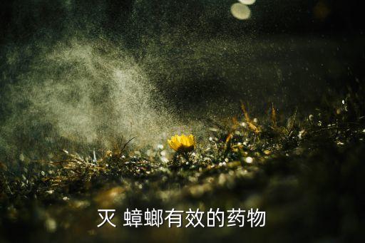 用什么農藥消滅蟑螂,什么農藥對蟑螂最有效