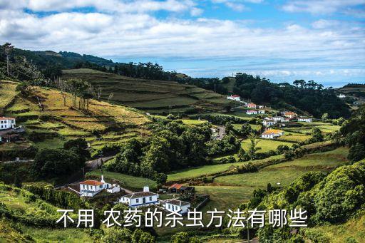 不用 農(nóng)藥的殺蟲(chóng)方法有哪些