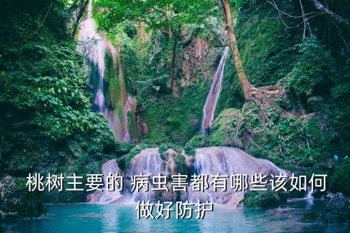  桃樹主要的 病蟲害都有哪些該如何做好防護