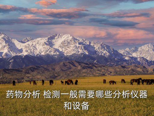藥物分析 檢測一般需要哪些分析儀器和設備