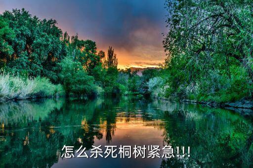 怎么殺死桐樹(shù)緊急!!!