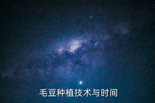  毛豆種植技術與時間