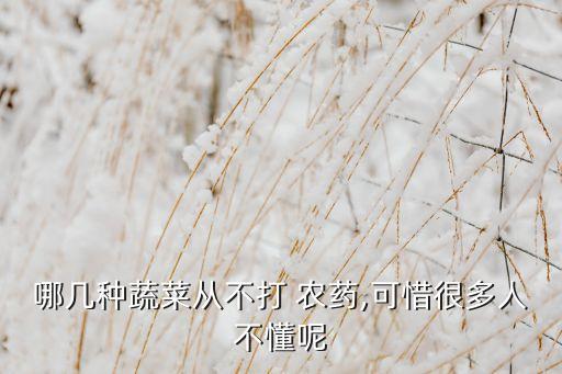,什么菜沒有打過農(nóng)藥的東西