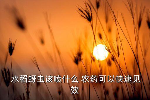 什么農藥能噴水稻上面,水稻農藥什么時間打效果最好