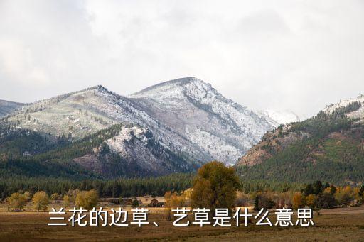 蘭花的邊草、藝草是什么意思