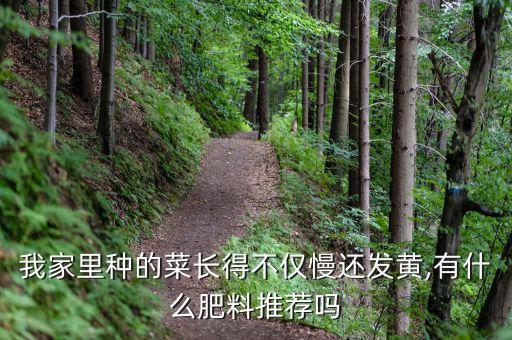 蔬菜黃葉不長用什么農藥,什么蔬菜含黃葉素