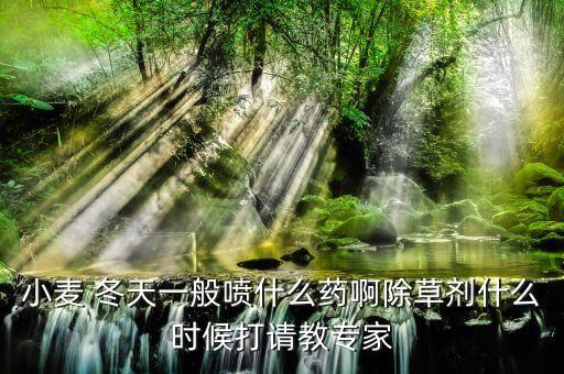 小麥 冬天一般噴什么藥啊除草劑什么時候打請教專家