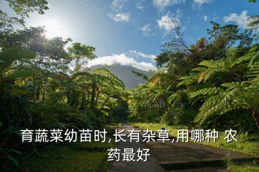 果園除草噴什么農藥合適,苗圃除草用什么農藥