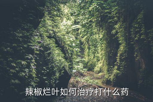 什么農藥治辣椒落葉病好,辣椒不能用什么農藥