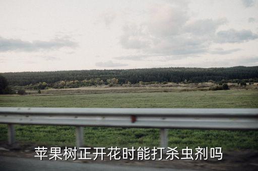 蘋果樹正開花時能打殺蟲劑嗎