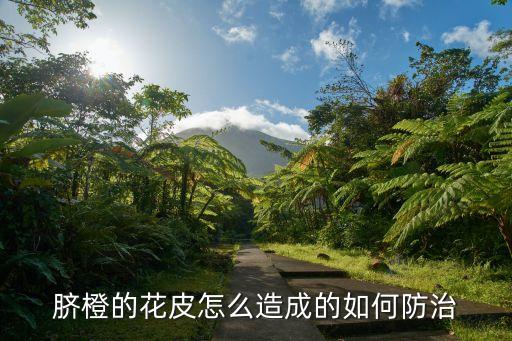 臍橙花謝后噴什么農藥