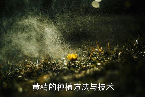黃精除草用什么農(nóng)藥最好使,什么農(nóng)藥除草效果最好