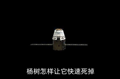 用什么農藥能把楊樹殺死,殺死楊樹的最好最快的農藥
