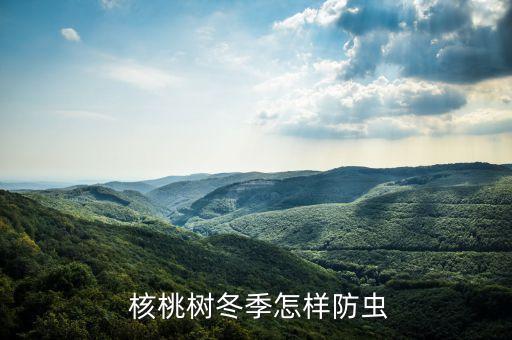  核桃樹冬季怎樣防蟲